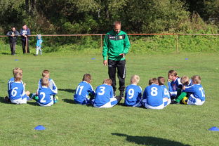 开yun体育-中国篮球教练员战术创新能力培养及培训机制研究，全国篮球教练员岗位培训